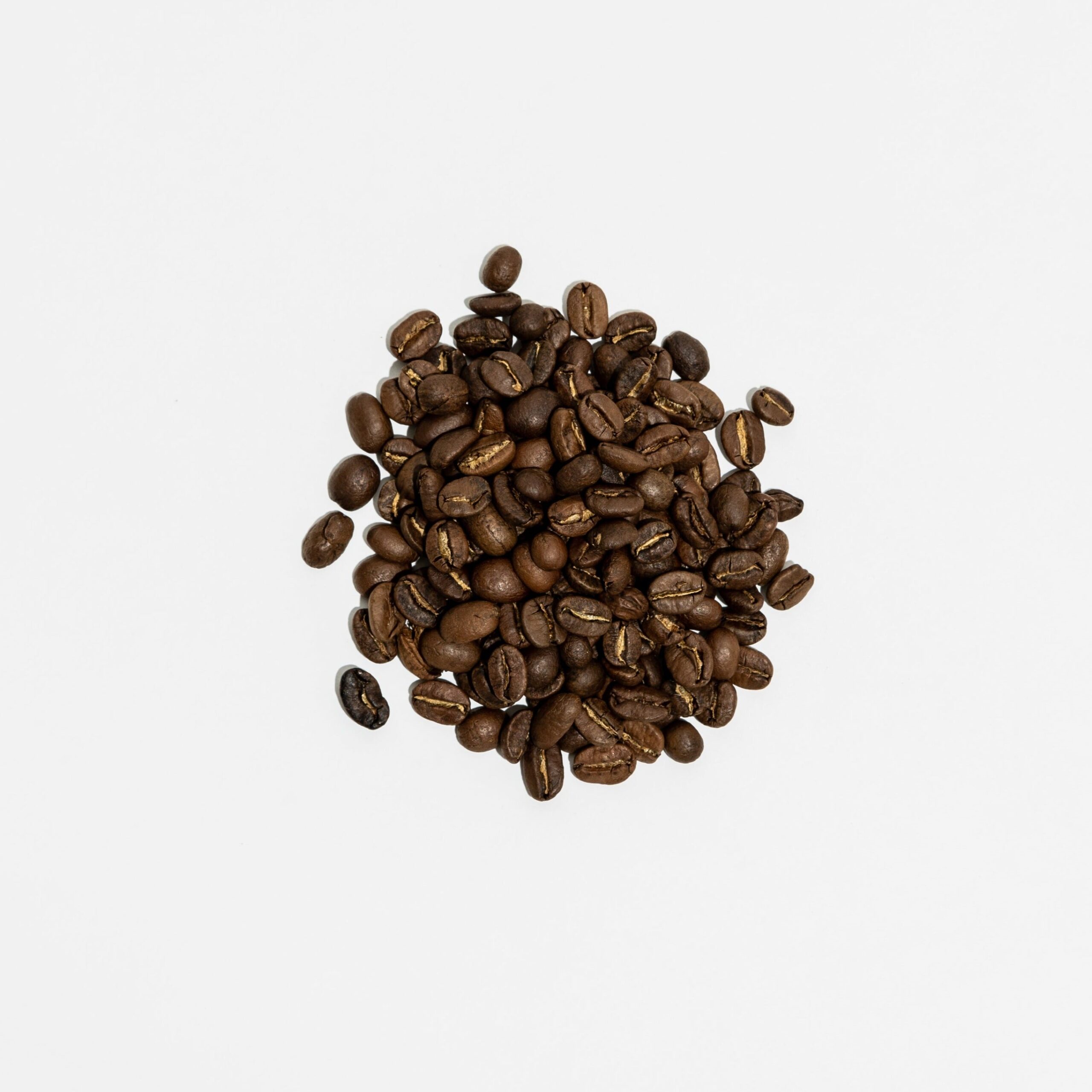 Bongo Blend - Image 2